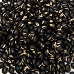 Semente Mucuna Preta