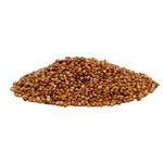  Semente Sorgo BRS ponta negra
