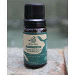 Blend de óleos essenciais 10 ml - Ritual Energia