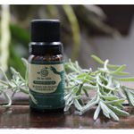 Blend de óleos essenciais 10 ml - Ritual Energia