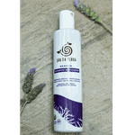 Shampoo Matizador Renove 300ml