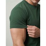 CAMISETA DIESEL - VERDE MUSGO