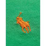 CAMISETA RALPH POLO SPORT - VERDE