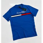 Camiseta Tommy Hilfiger Azul Royal - Egípcia 