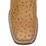 Western Boot Txs Welt Vimar Boots 81258 Avestruz Original Conhaque