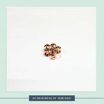 Kit Parafuso - 0,5 cm - Rose Gold