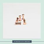 Kit Parafuso - 1,5 cm - Rose Gold