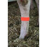 Faixa de Identificação em Nylon c/ fecho de Velcro® - pacote c/ 10 unid