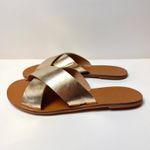 RASTEIRA ZOE OURO LIGHT
