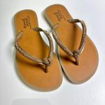 CHINELO NOEMI - CHAMPAGNE