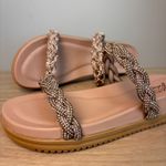 PAPETE MELISSA ROSE