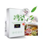 Multifuncional gerador de ozônio 220V - Desinfetor, Purificador de ar, purificador de frutas, legumes, água e desorizador