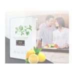 Multifuncional gerador de ozônio 220V - Desinfetor, Purificador de ar, purificador de frutas, legumes, água e desorizador