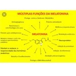 Melatonina Kriyá - Suplemento alimentar para auxiliar suas noites de sono