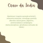 Kit com 4 Tinturas desparasitantes 6 Ervas New Quantic – Curativo hepático/ Hipotensor/ Antioxidante/ Diurético