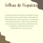 Kit com 5 Tinturas desparasitantes 6 ervas New Quantic – Curativo hepático/ Hipotensor/ Antioxidante/ Diurético