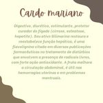 Kit com 5 Tinturas desparasitantes 6 ervas New Quantic – Curativo hepático/ Hipotensor/ Antioxidante/ Diurético