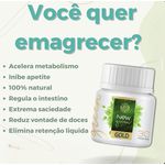 NewGreen Gold - Detox e Saciedade Natural