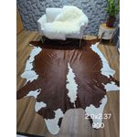 Formato bovino hereford