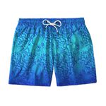 SHORT PRAIA AZUL DEGRADE POLVOS 