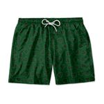 SHORT PRAIA NAIPE CARTAS VERDE 