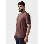 Camiseta Masculina Básica Lisa Marrom