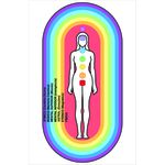 Gráfico Aura Humana Corpo Feminino - Aura Sutis - Corpos Sutis PS PVC