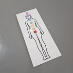 Gráfico Figura Humana Feminina - Corpo Feminino PS PVC