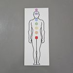 Gráfico Figura Humana Masculino - Corpo Masculino PS PVC