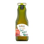 SUCO DE MAÇÃ INTEGRAL ORGÂNICO - NOVOCITRUS - 300ML.