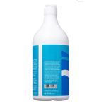Condicionador Extrato de Mirtilo 1000ML LOWELL PROFISSIONAL 1005