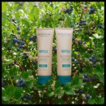 1015LW-Shampoo Equilibrante Mirtilo 240ml