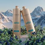 1017LW-Condicionador Equilibrante Mirtilo 1l