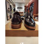 Sapato Social Derby Teselli Donald Brogue Machiatto Vinho