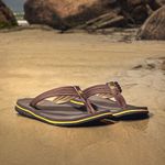 Chinelo Masculino Bahamas Laroche - Café