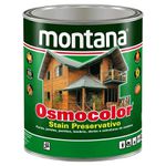 MONTANA OSMOCOLOR ACETINADO 900ML