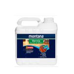 MONTANA VERNIZ PISO ÁGUA ACETINADO 5L