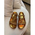 Birken Taina cobre