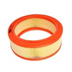 Filtro de Ar Wega Clio e Kangoo 2000 Em Diante Logan e Sandero 1.6 8V 