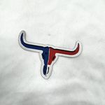 Adesivo para Chapéu - BOI EUA G (Patch)