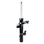 Amortecedor dianteiro direito Focus 2008/2013 - GP33234