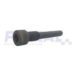 PARAFUSO SATELITE D20 E F1000 BRASEIXOS 405 