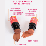 Blush Bastão Multifuncional Cor Soft Peach FPS30 FPUVA10 - Pink Cheeks