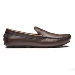 Sapato Casual Masculino Drive Gallant Café Valentus