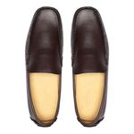 Sapato Casual Masculino Drive Gallant Café Valentus