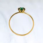 Anel de Formatura Gyn