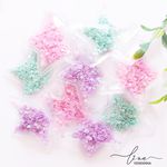 Estrela Transparente 6cm (2Uni.)