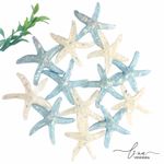 Estrela do Mar Resina