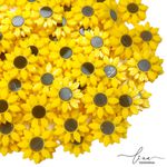 Mini Girassol Acrílico 2CM (2Uni.)
