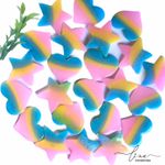 Acrílico Coração/ Estrela Colorido (2Uni.)